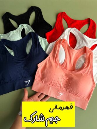 نیمتنه قهرمانی جیم شارک (۲۴۸ ت)